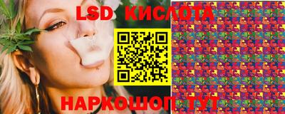 гидра Заволжье