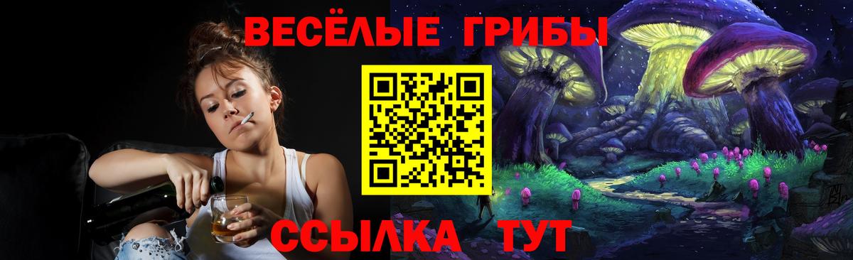Каспийск  Псилоцибиновые грибы Psilocybe  Вход с VPN  Псилоцибиновые грибы Cubensis 